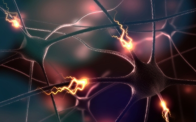 Нервная система пациента - Квинмед